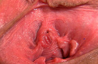 Hot Gapemypussy.com s5 Hot Gapemypussy.com s5