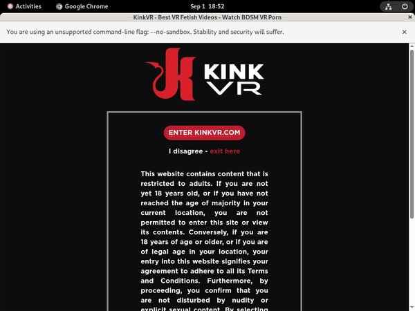 Kinkvr Webbilling