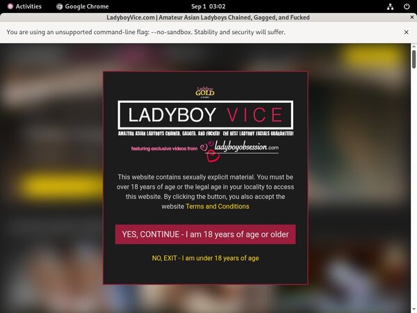 Ladyboy Vice Discount Special