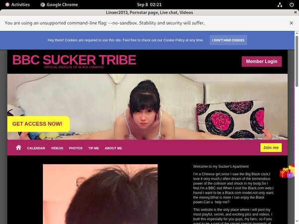 Linxer2013 Free Pron