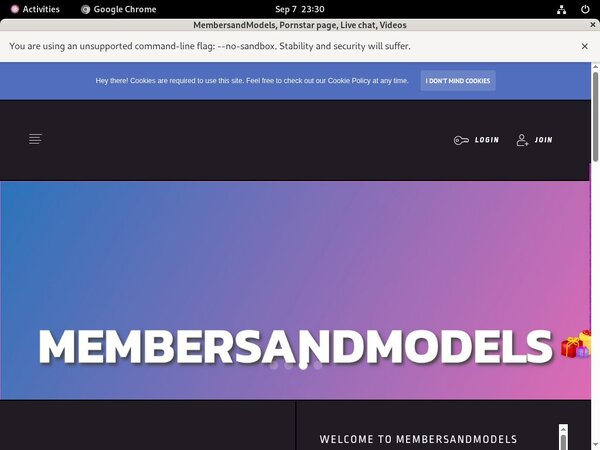 MembersandModels Website