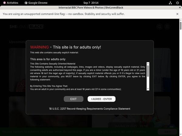 She Loves Black Sex Pics