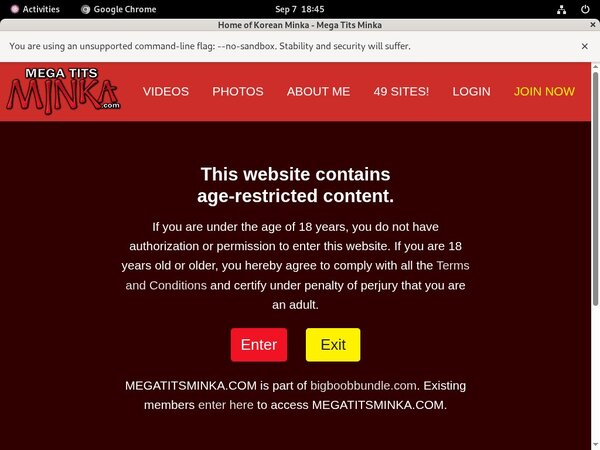 Account For Megatitsminka Free