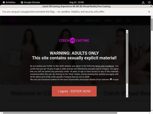 Beeg Czech VR Casting