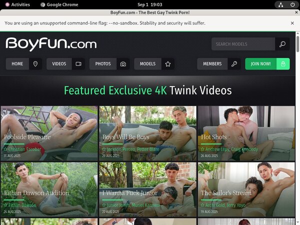 Boy Fun Checkout Page