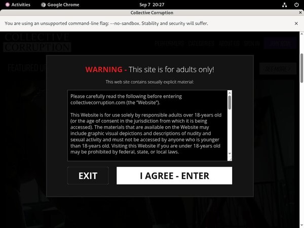 Corruption Collective Promo