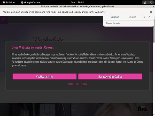 Download Parkplatzluder19