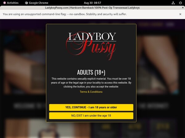 Free Ladyboypussy.com Membership Account