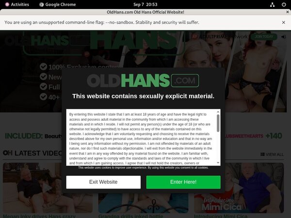 Free Working Old Hans Accounts