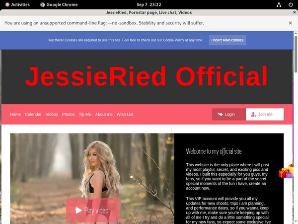 Is Jessieried.modelcentro.com Real