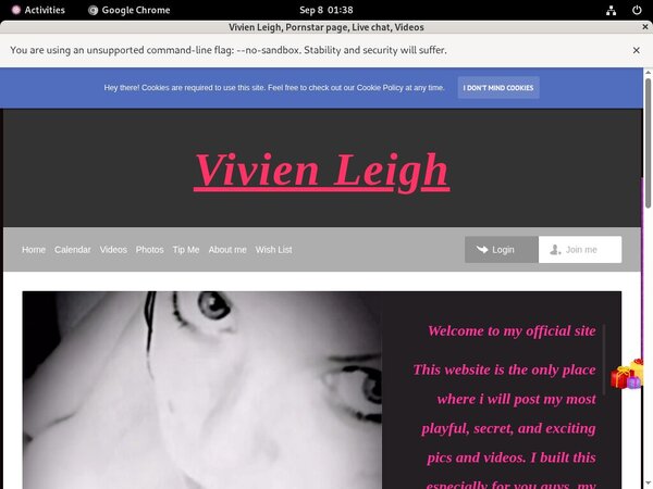 Logins For Vivienleighandme.modelcentro.com