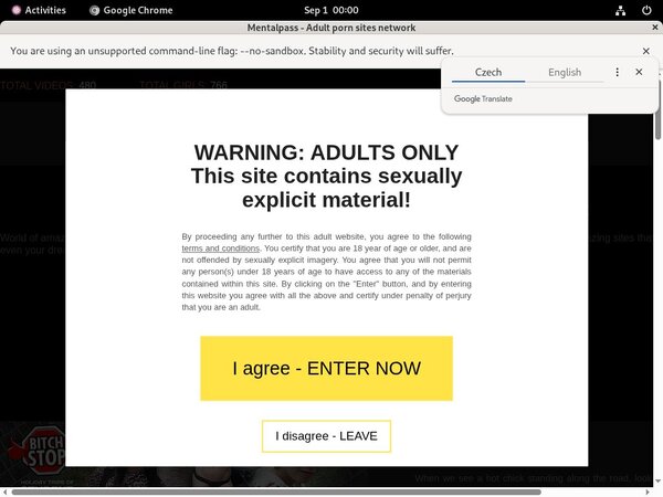 Mentalpass.com Adult Passwords