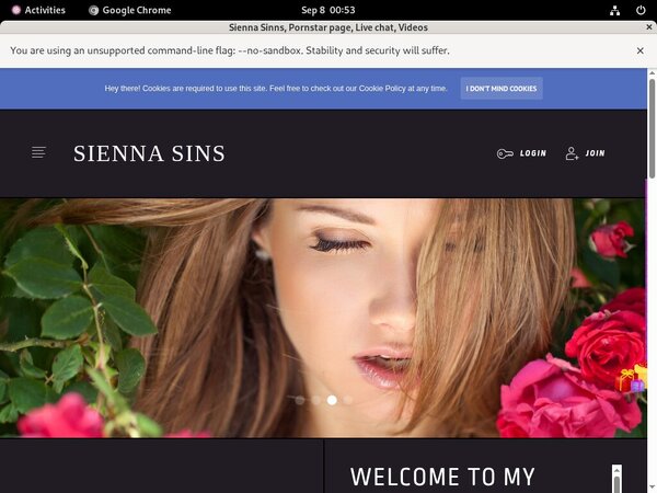 Mobile Siennasinns.modelcentro.com Account
