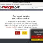 Porn Mega Load Login Ids