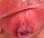 Pussy My Gape Free Membership