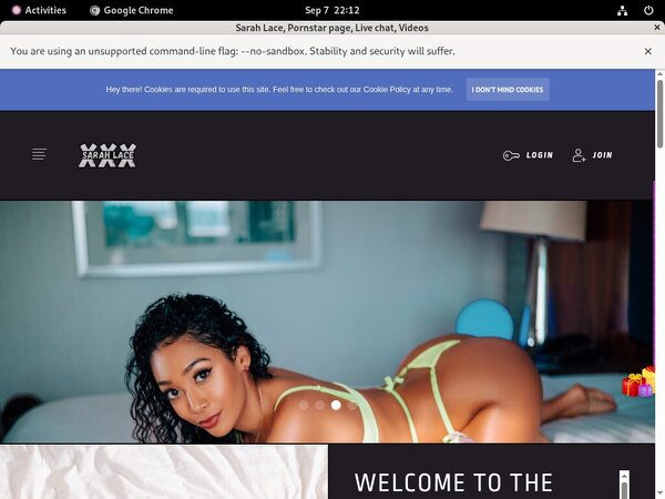 Sarah Lace Epoch Paypal