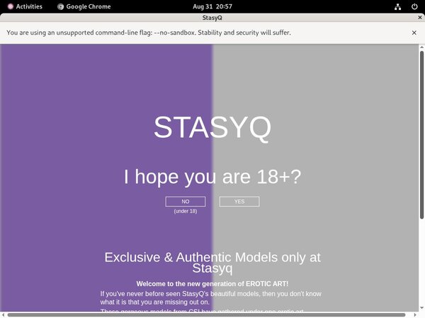 Stasyq.com Free Access Stasyq.com Free Access