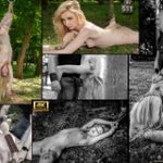 Subspace Land Free Clips