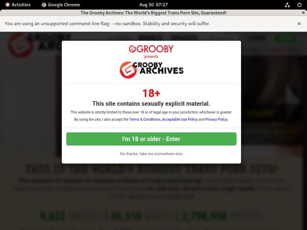 Thegroobyarchives Special Price