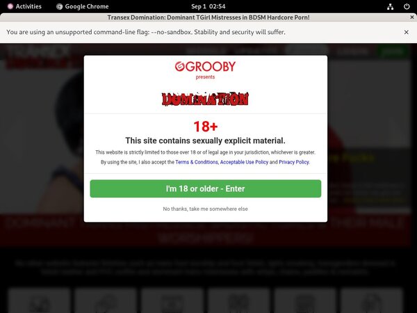 Transexdomination Porn Site