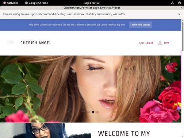 Try Cherishangel.modelcentro.com For Free
