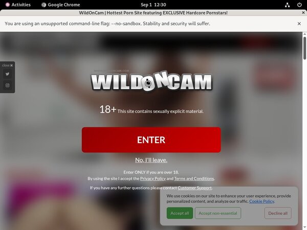 Wild On Cam With Credit Card