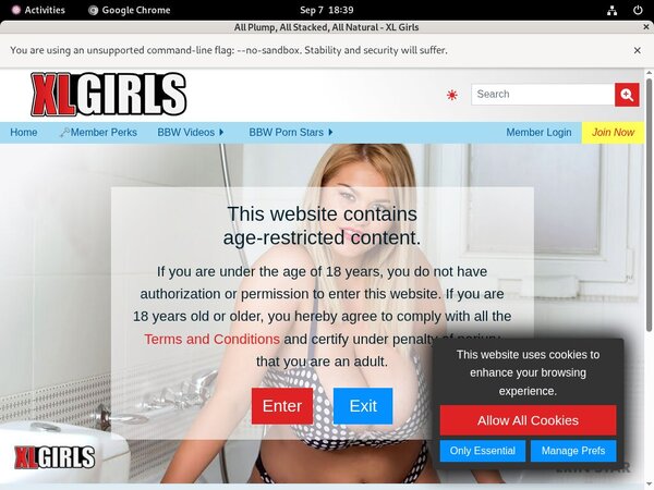 Xlgirls Automatische Kassen
