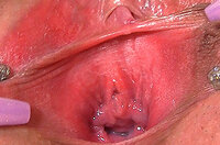 Is Gapemypussy.com Real s3 Is Gapemypussy.com Real s3